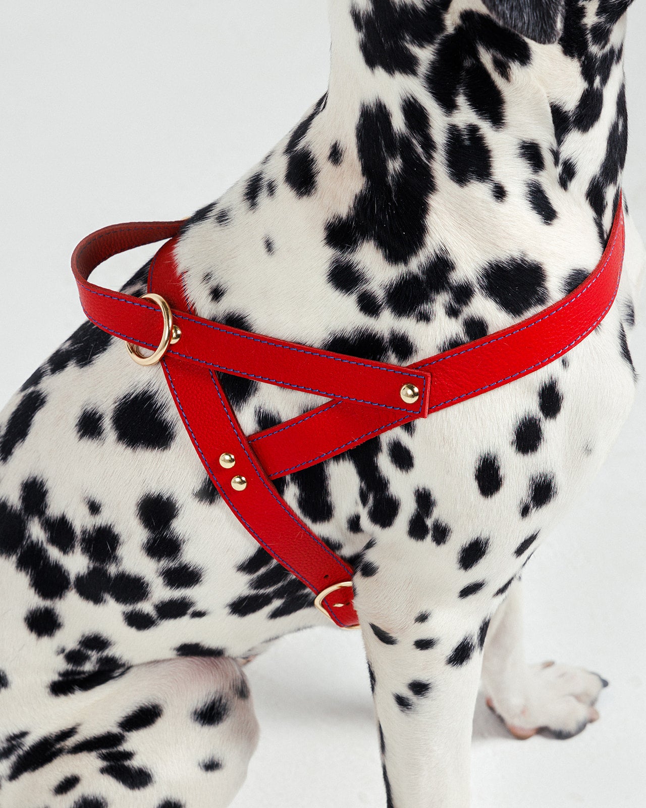 Tokyo Red Harness