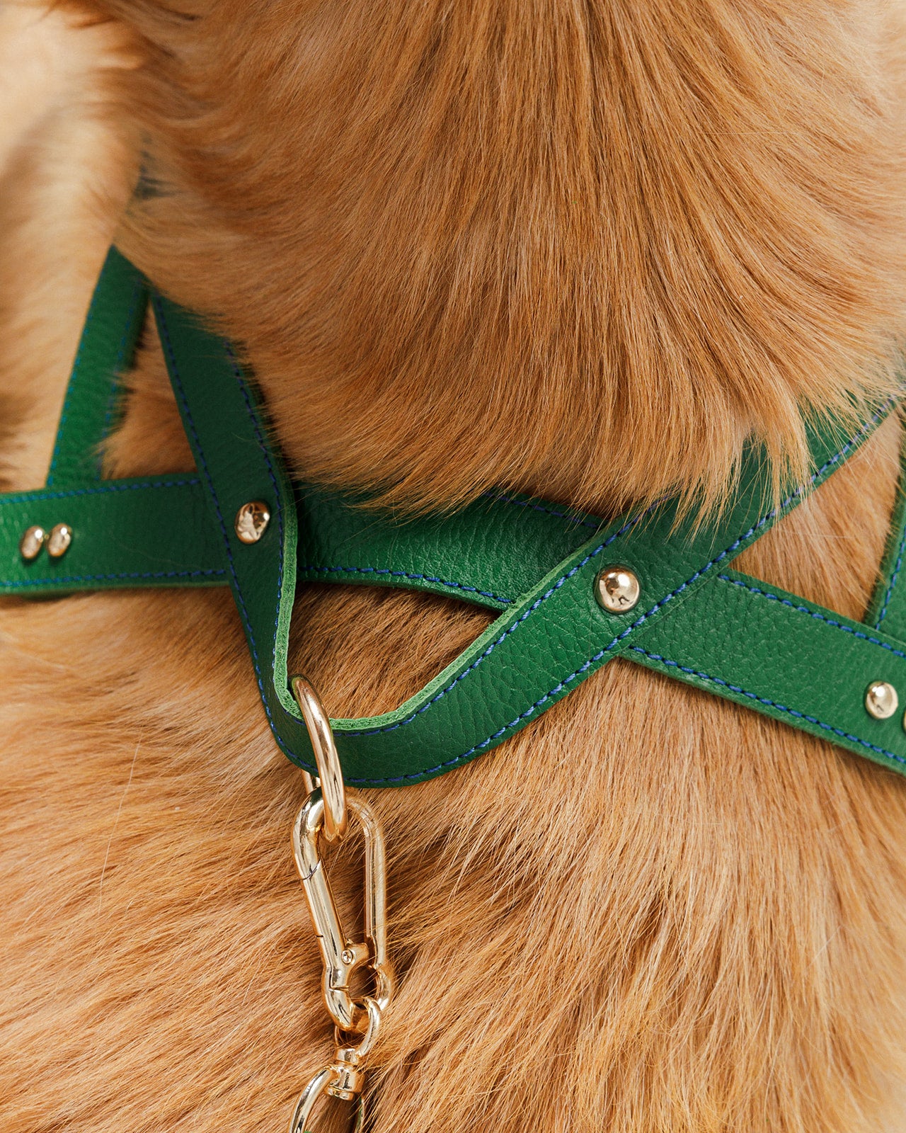 Florence Green Harness