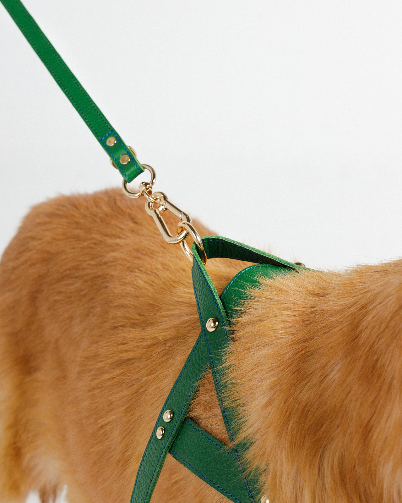 Florence Green Harness