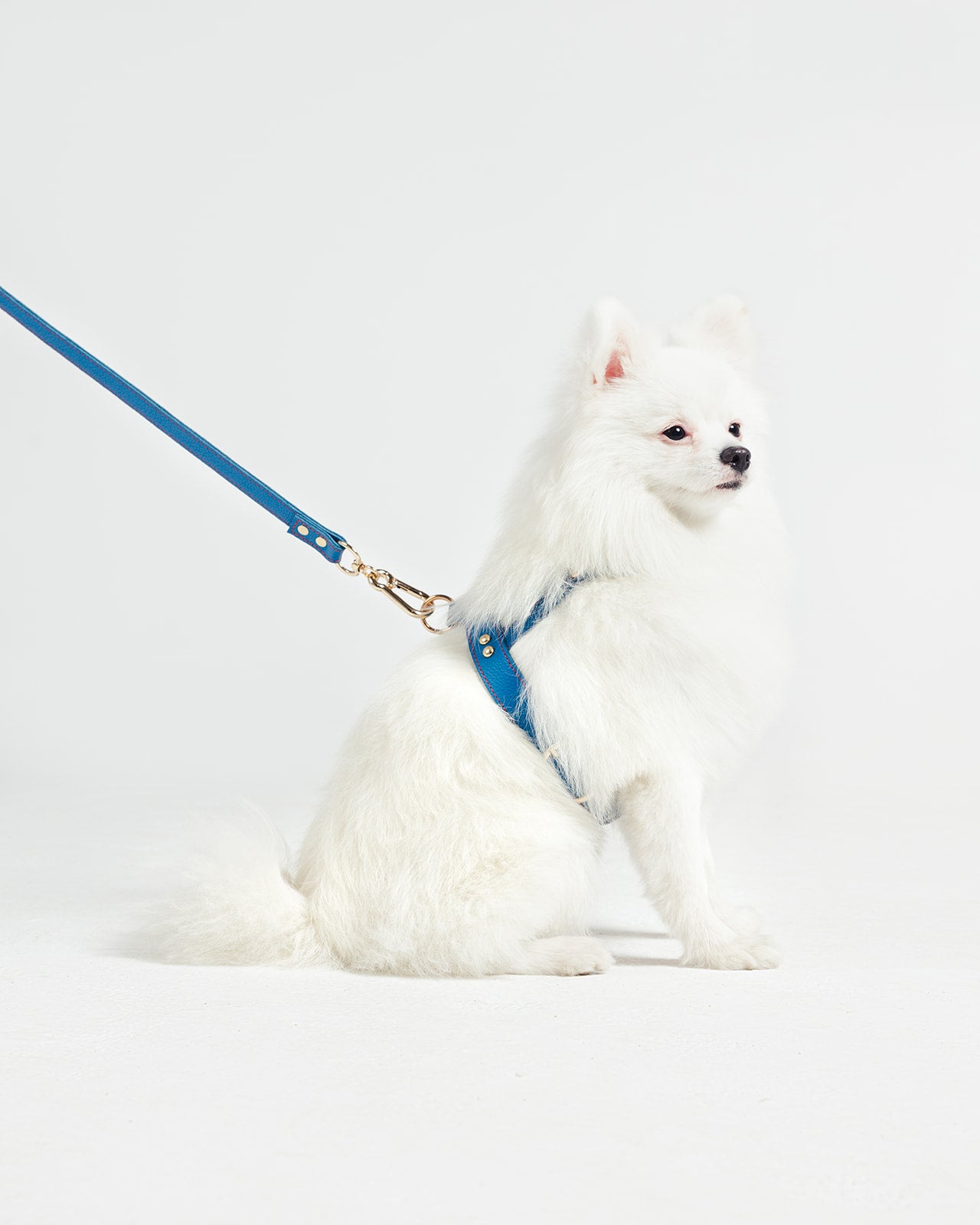 Prague Blue Hand Leash