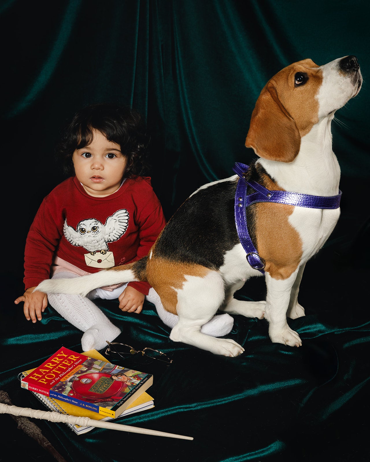 Tanzanite Hand Leash