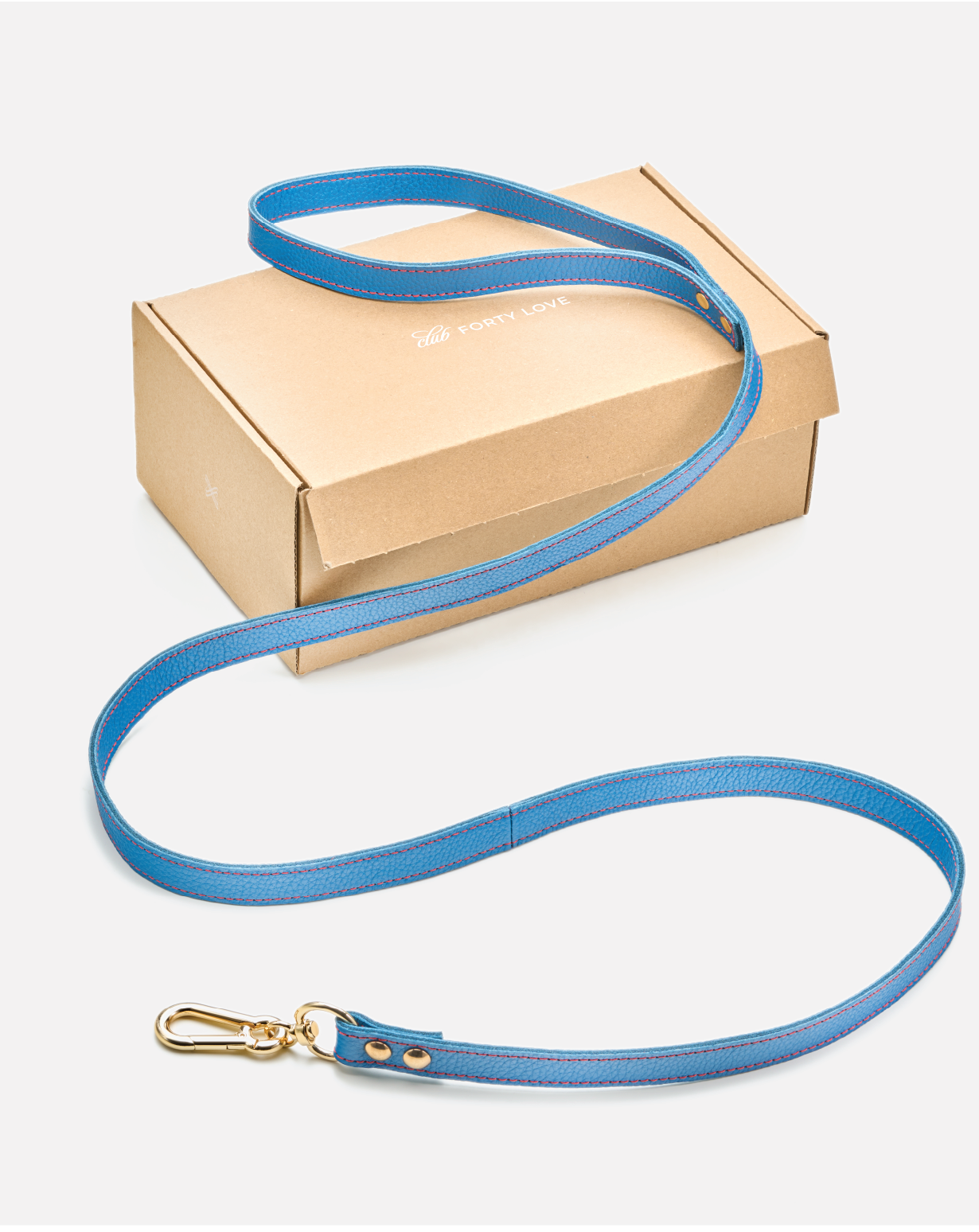 Prague Blue Hand Leash