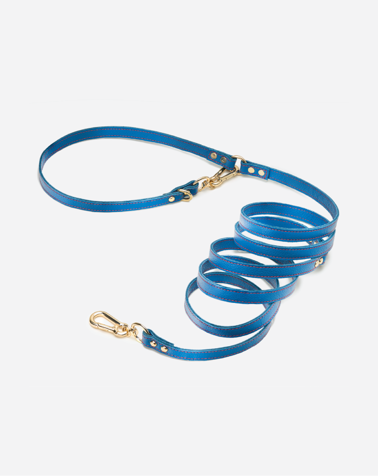 Prague Blue Cross Leash
