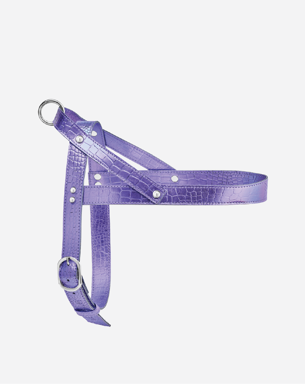 Tanzanite Harness