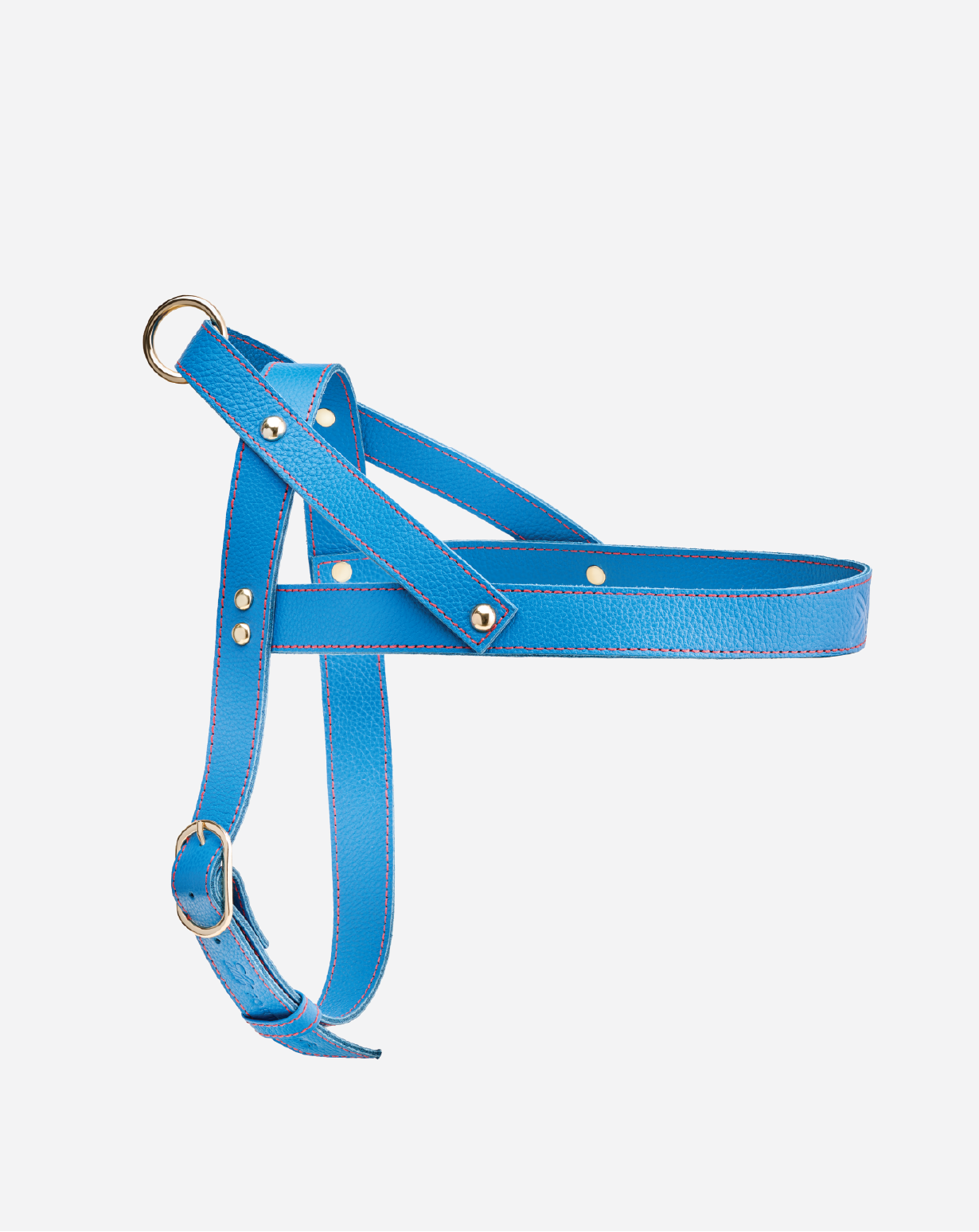 Prague Blue Harness