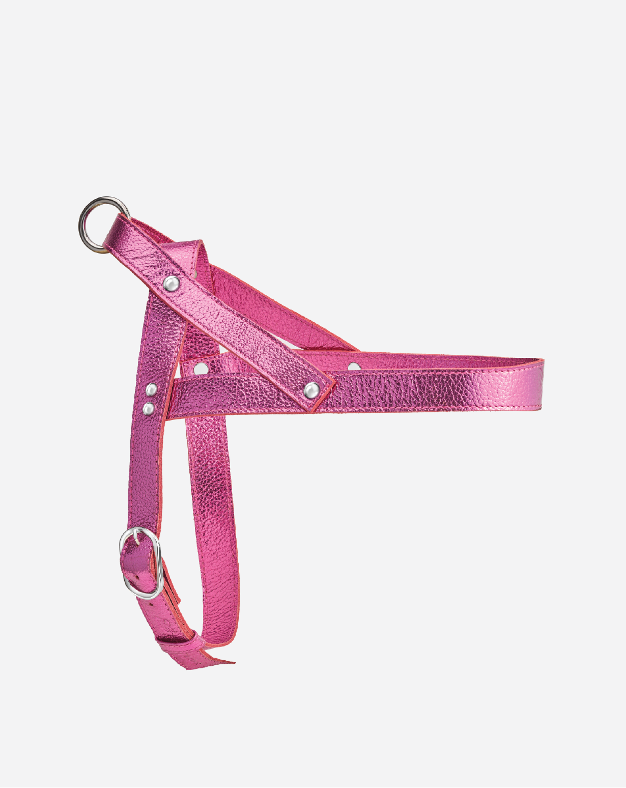 Raspberry Harness